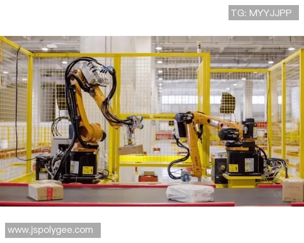 新宝GG仿生计算系统引领智能科技新时代的创新与发展探索